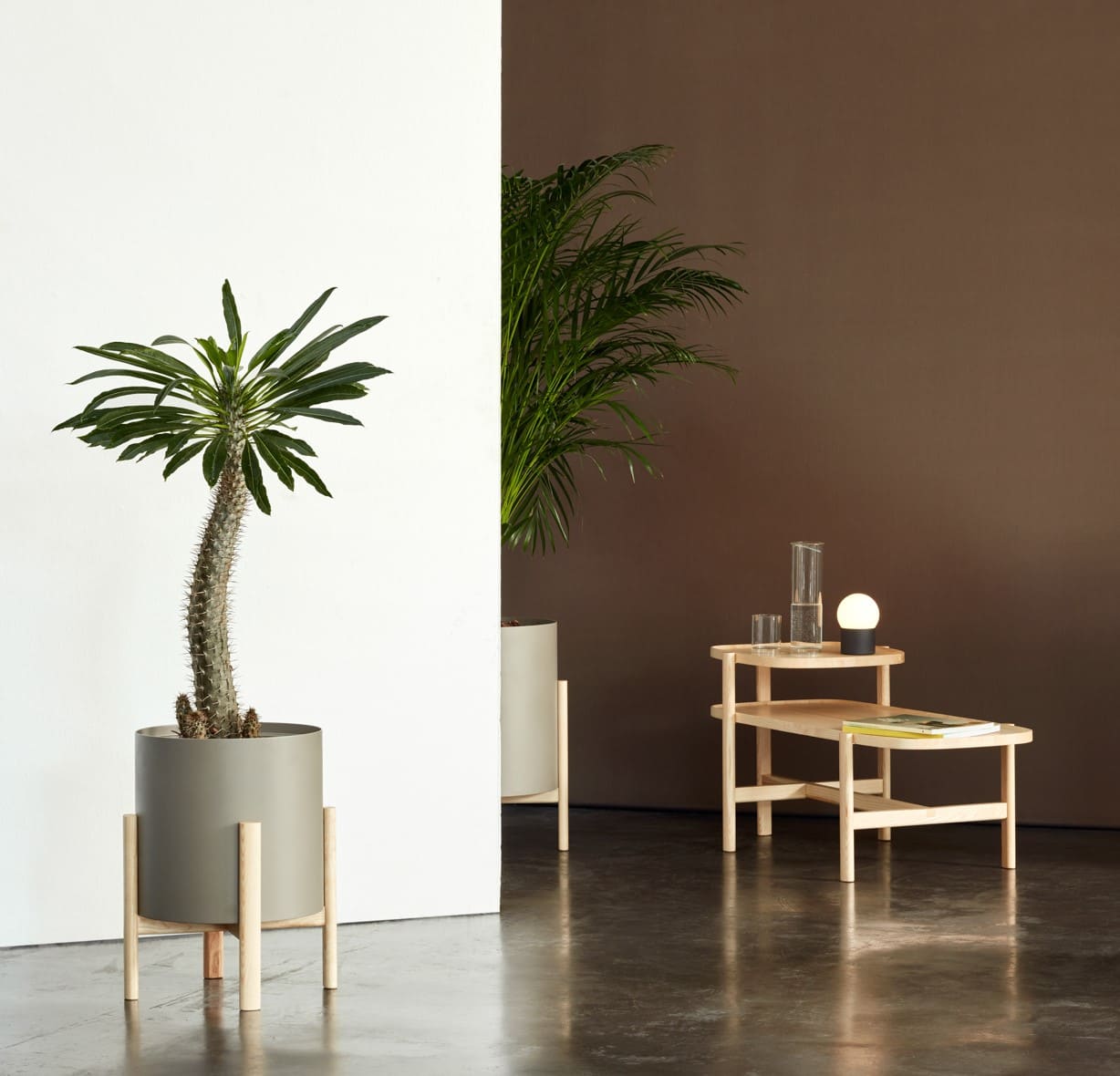  Decoración con plantas naturales